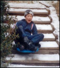 sledding down the steps